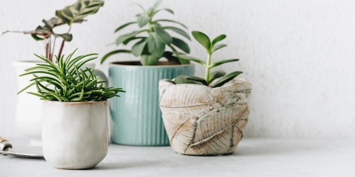 Artículo con Tallas y Colores que NO afectan al precio